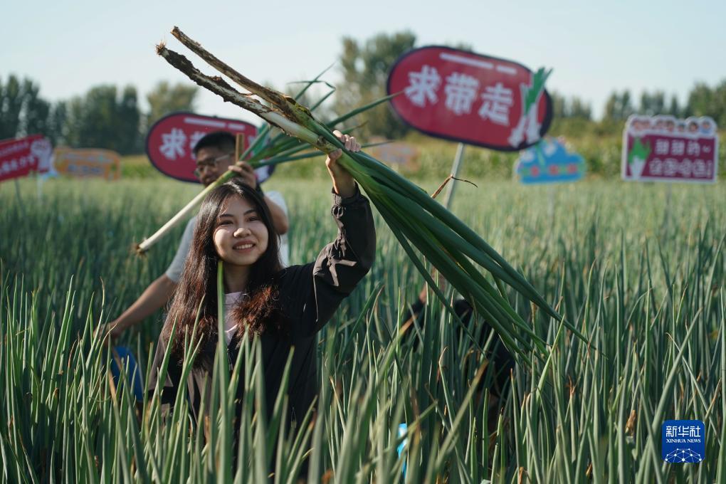 姚记斗地主手机版